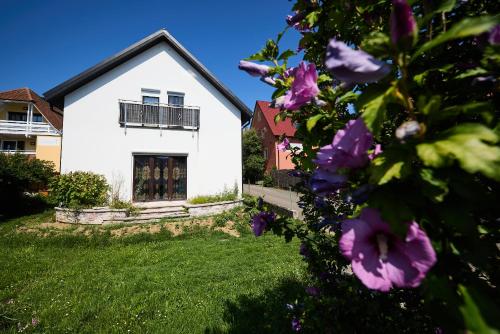 Ferienhaus SWD - last minute hotel in Unknown City