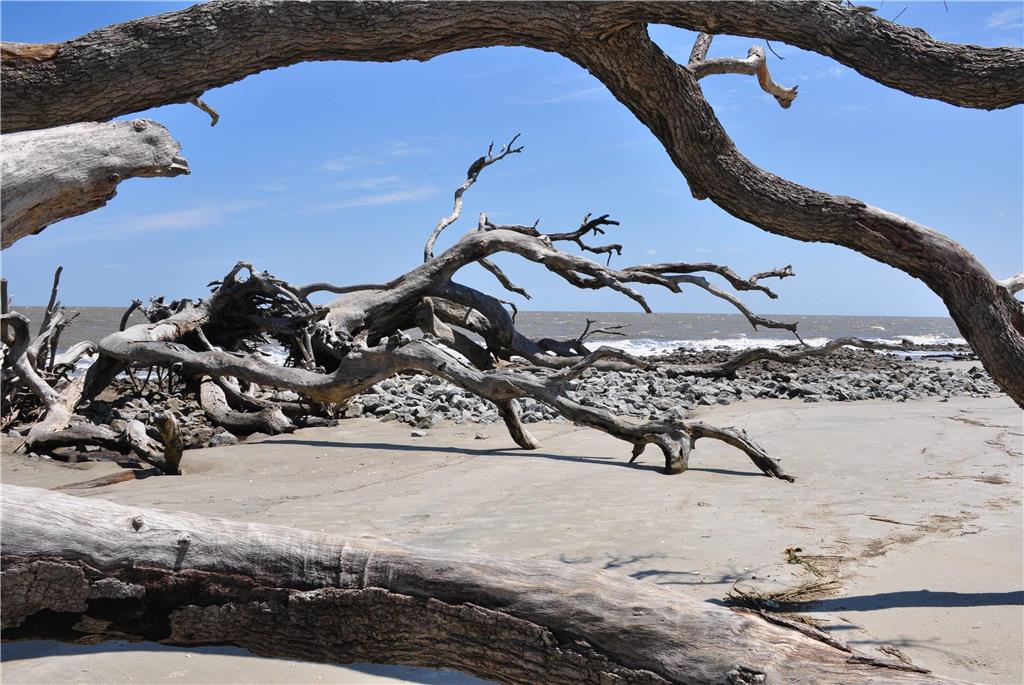 Days Inn & Suites by Wyndham Jekyll Island - photo 28