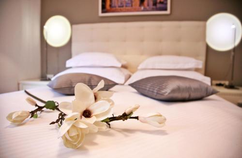 Magnolia Luxury Apartments — 4-Star Luxury Hotel in Split, Croatia
