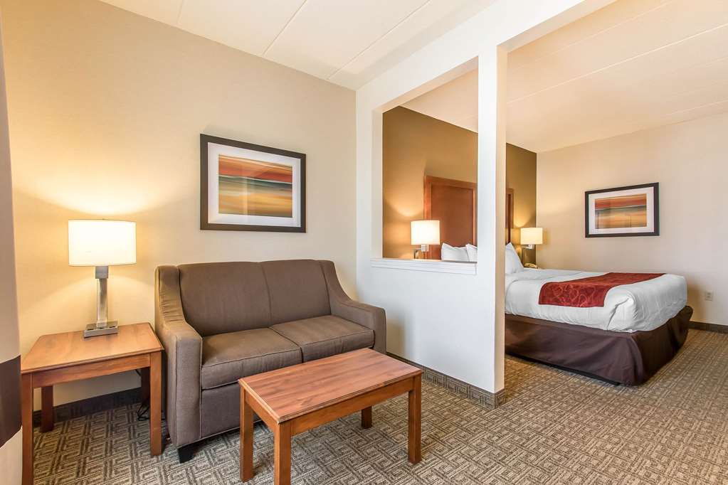 Comfort Suites Richmond - photo 10