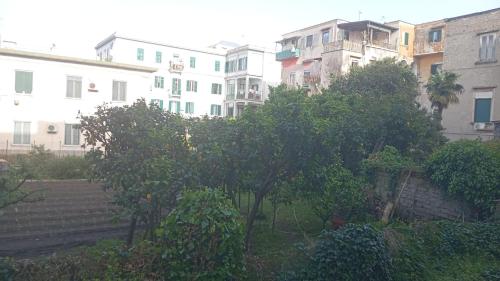 La dimora Materdei - carbon neutral hotel in Naples