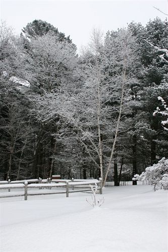 The Arbor Inn - photo 19