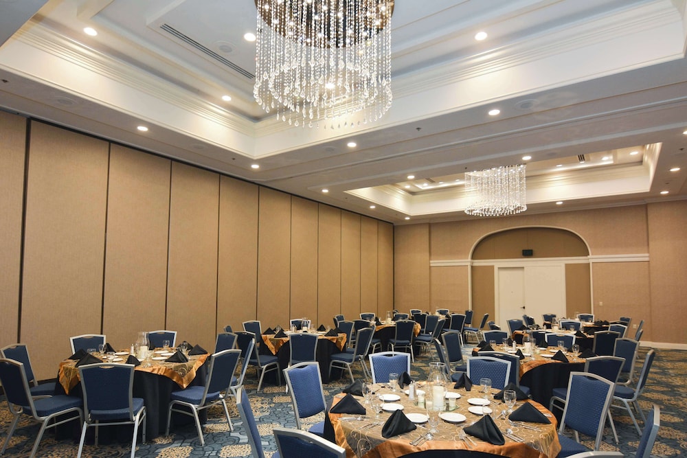 Hilton Palm Beach PBI - photo 170