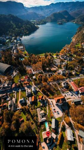 Villa Pomona — Bled — photo 2