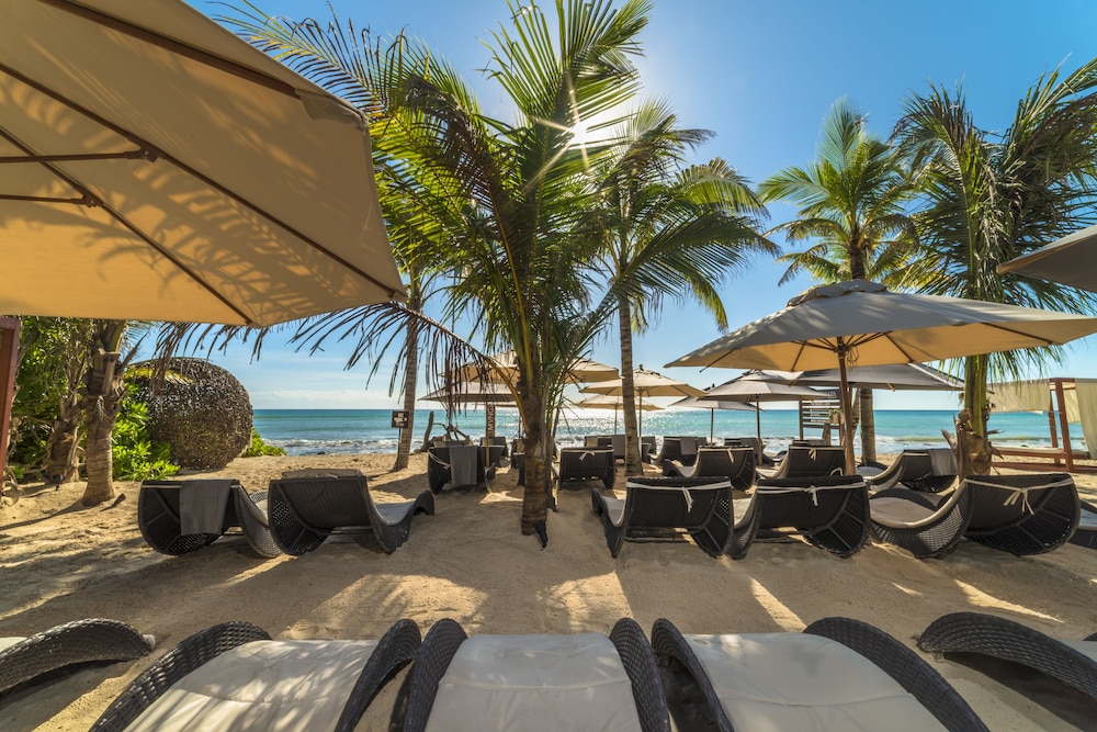 Mvngata Beach Hotel in Playa Del Carmen, Mexico