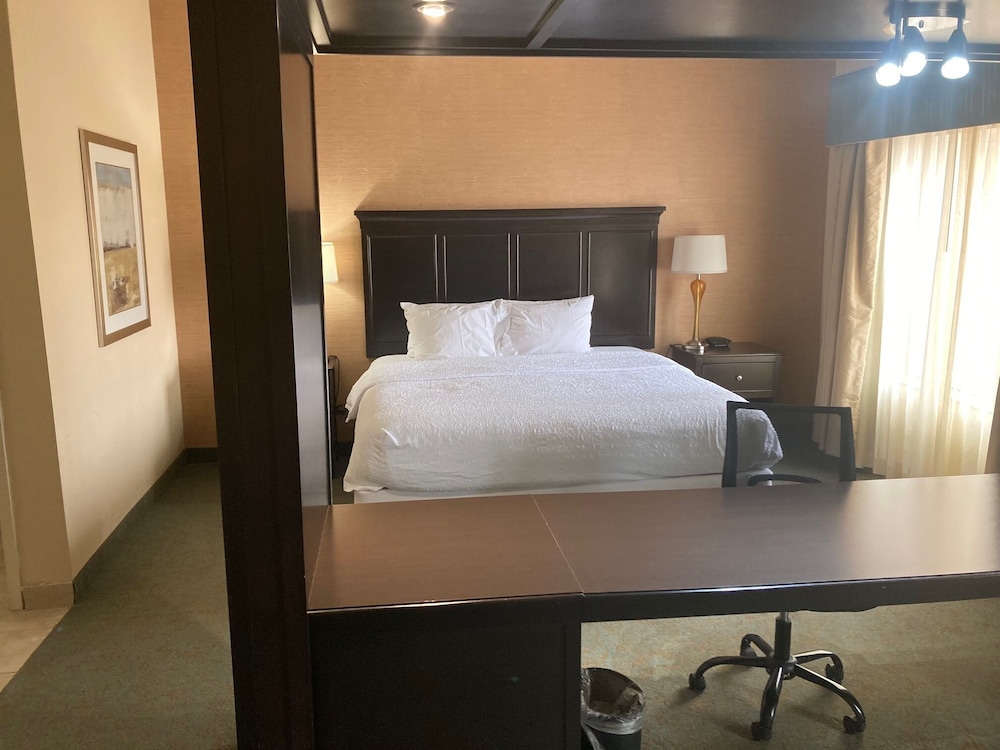 Hampton Inn & Suites Carlsbad - photo 18