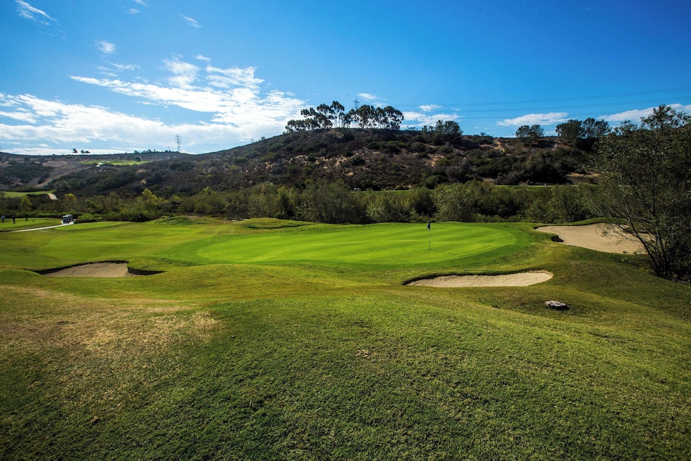 Westin Carlsbad Resort & Spa - photo 66