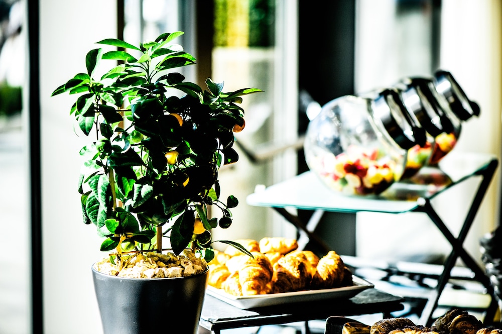 מזון ומשקאות