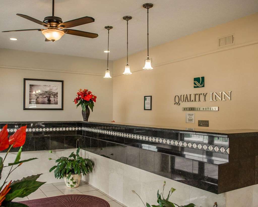 Quality Inn near Manatee Springs State Park - photo 7