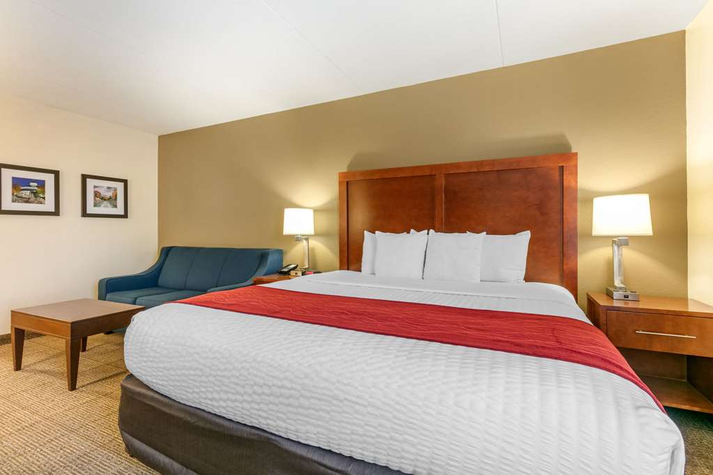 Comfort Inn Chattanooga Downtown Southside - photo 10