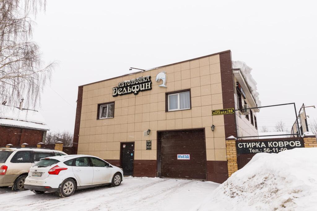 Dolphin in Izhevsk, Russia