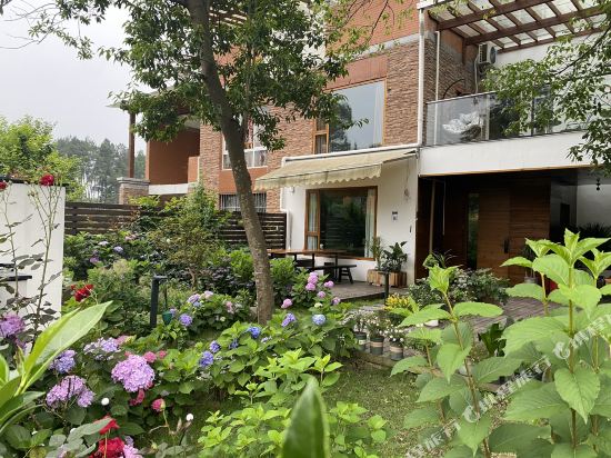 Between Pinetree - carbon neutral hotel in Puyang