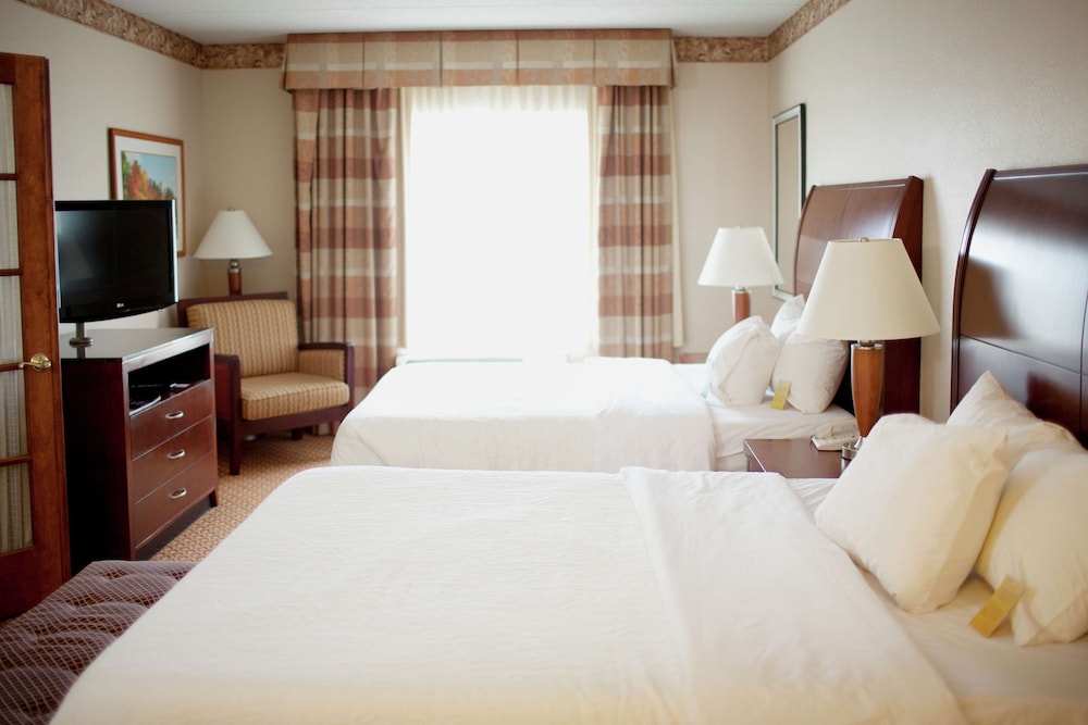 Hilton Garden Inn Rochester Downtown MN - photo 17
