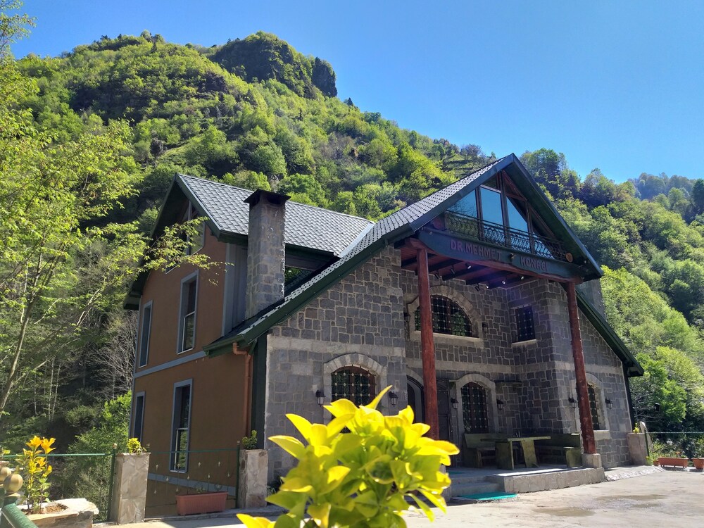 Elikti Butik Hotel — hotel in Rize