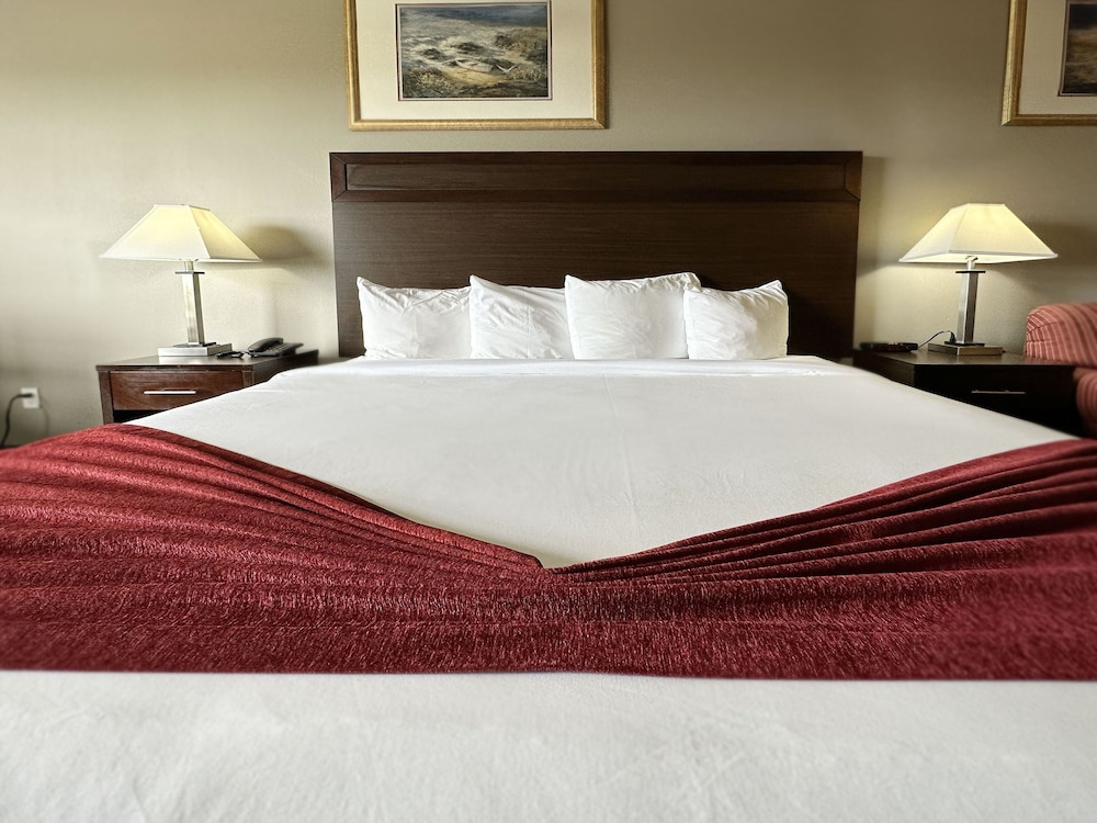 BayVue Hotel Resort and Suites - photo 34