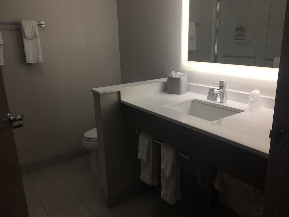 Holiday Inn Express & Suites Junction by IHG - photo 34