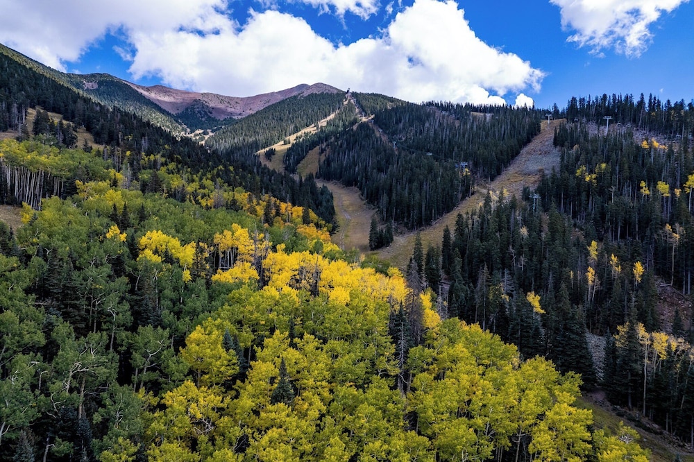 voco Flagstaff by IHG - photo 142