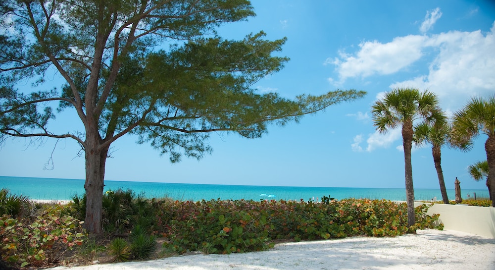 Casey Key Resorts Beachfront - photo 60