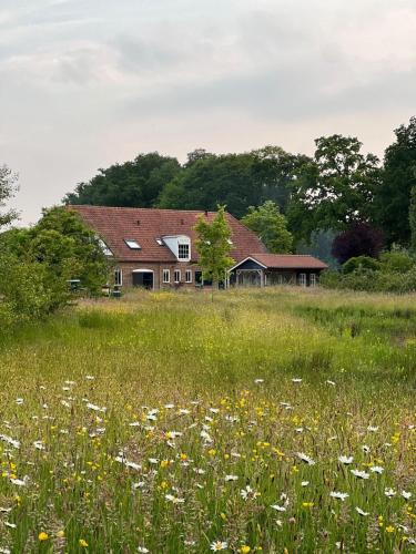Natuurhuisje BIJ de natuur — 4-Star Luxury Hotel in Doetinchem, Netherlands