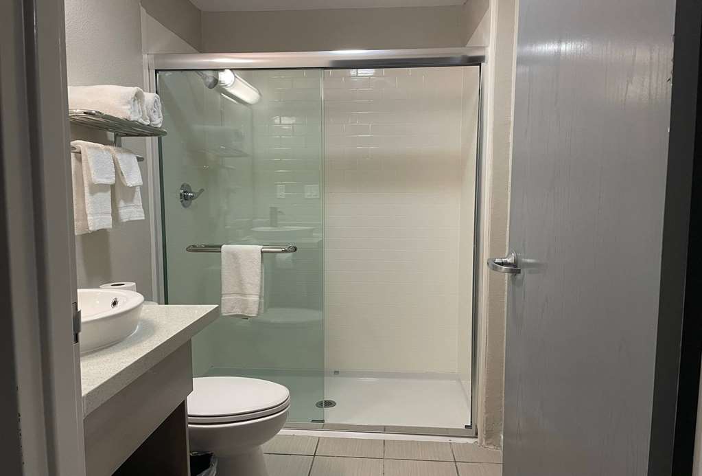 Microtel Inn & Suites by Wyndham Bossier City - photo 38