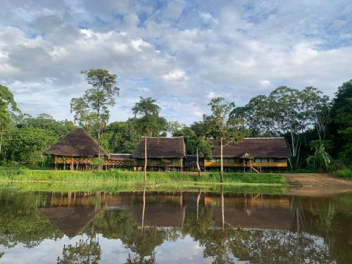 Ayahuasca Eco Tours in Iquitos, Peru