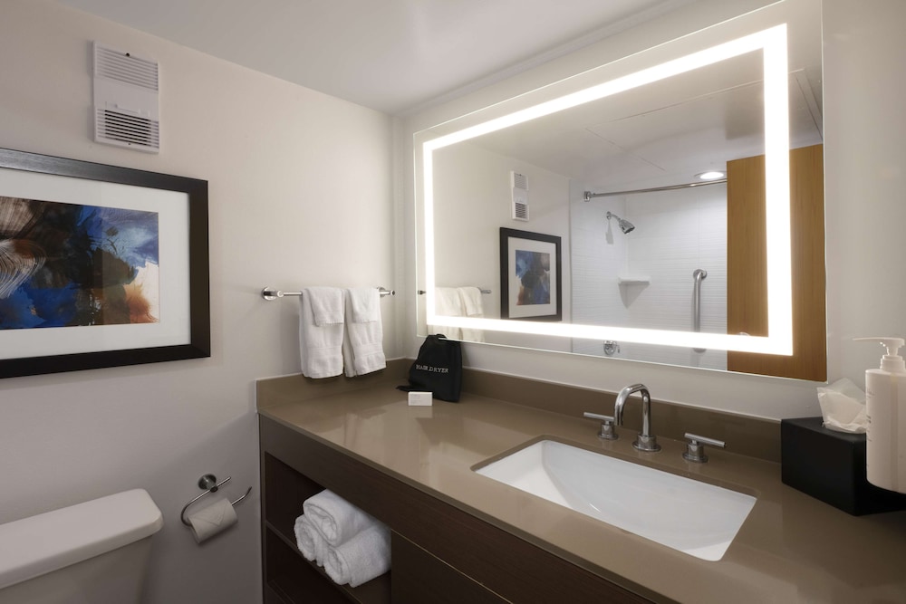 Embassy Suites by Hilton Dallas DFW Airport South - photo 19