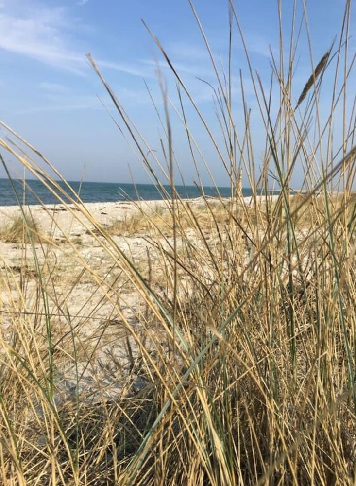 Lillehus Modern Retreat — Fehmarn — photo 4