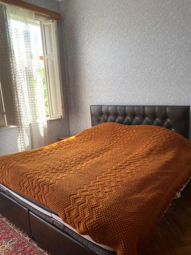 Cosy Guesthouse — Tsqaltubo — photo 3
