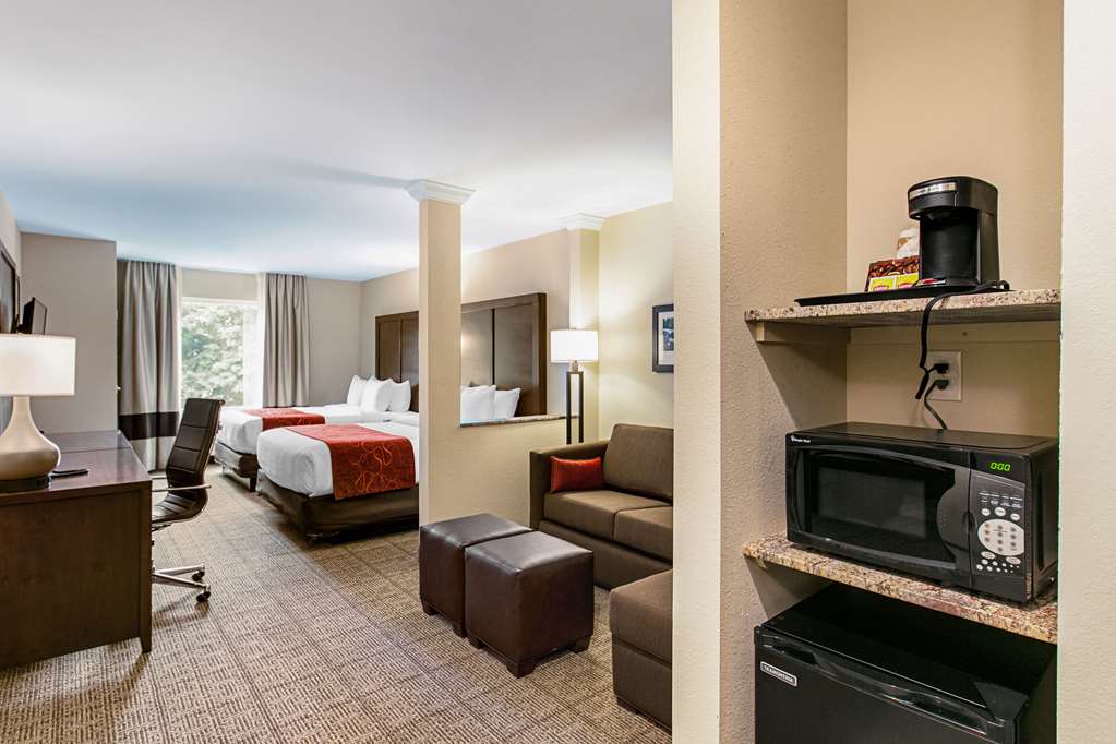 Comfort Suites Fishkill near Interstate 84 - photo 28