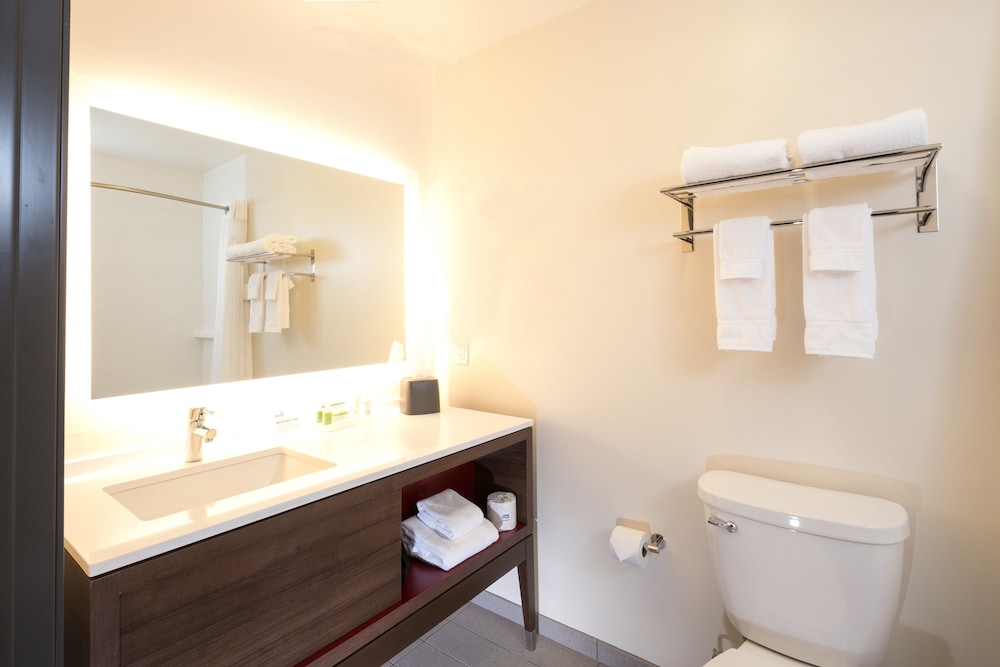 Holiday Inn Kalamazoo West - photo 28