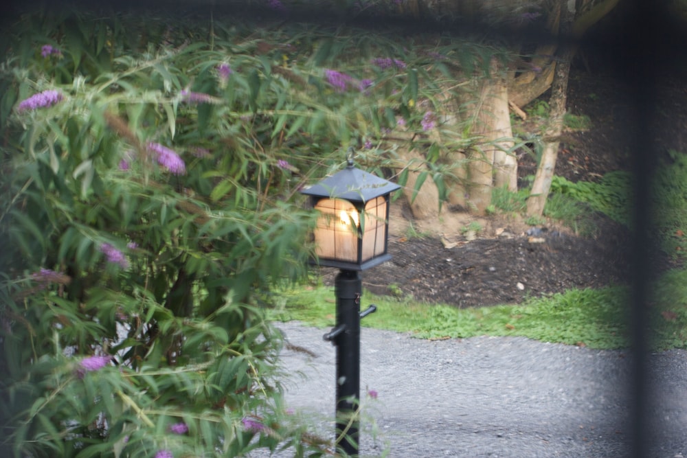 Chimney Hill Farm Estate - photo 156