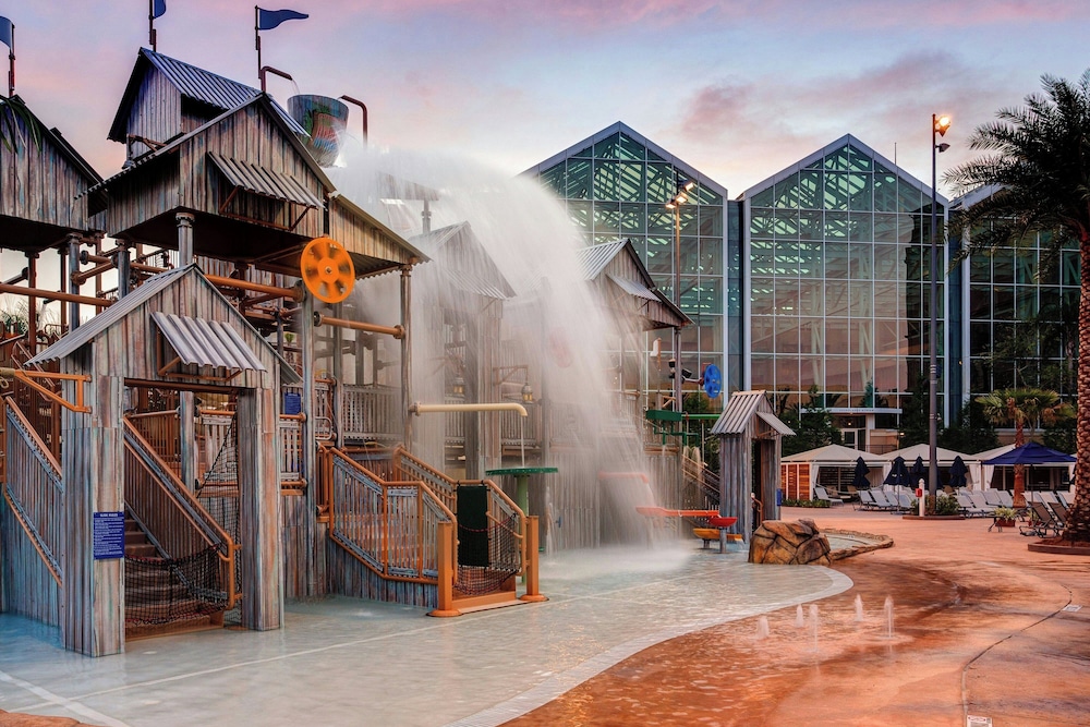 Gaylord Palms Resort & Convention Center - photo 31