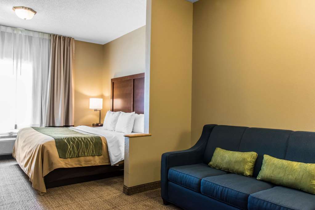Comfort Inn Columbia Lancaster - photo 6