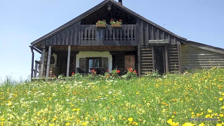Schnaitstadl Alm Selbstversorgerhütte — hotel in Krispl