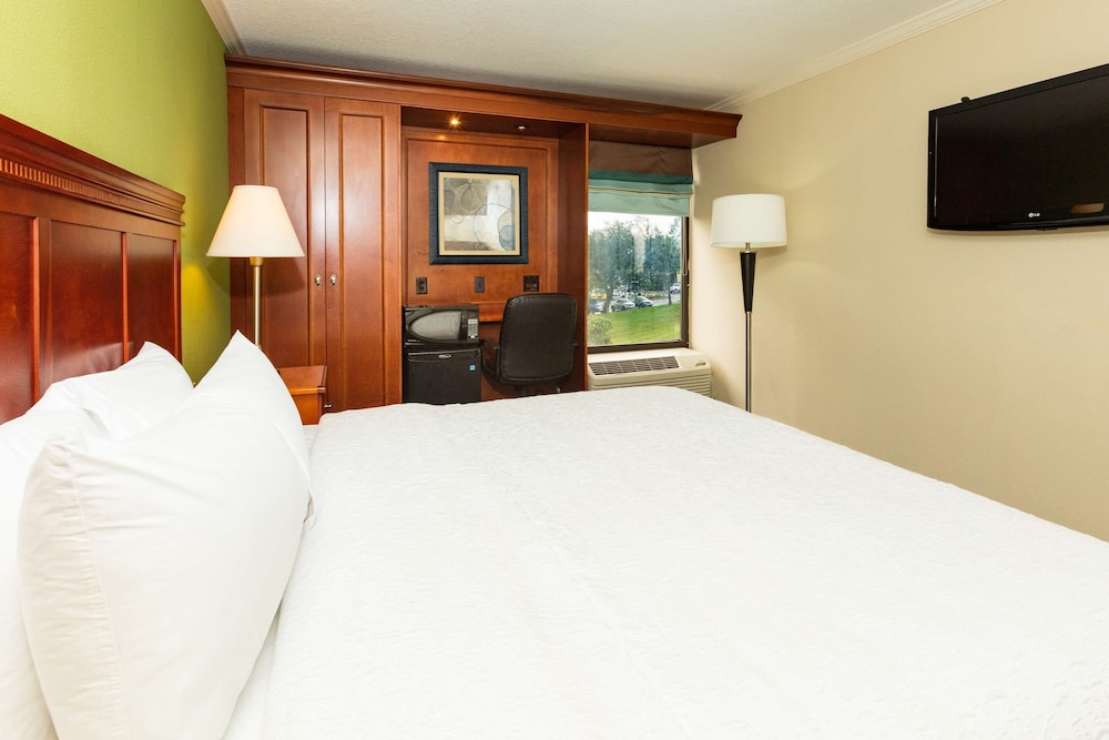 Hampton Inn Daytona Speedway - photo 22