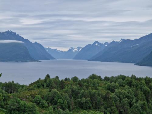 Cozy Retreat in the Heart of Alesund in Alesund, Norway