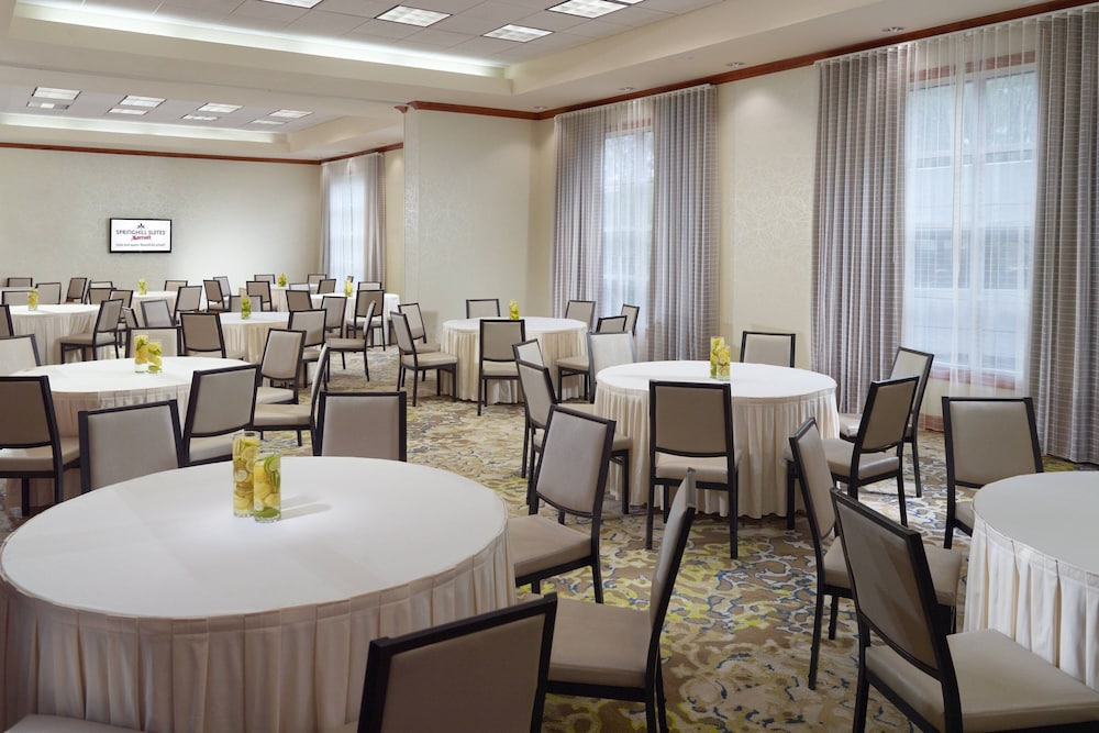SpringHill Suites by Marriott Atlanta Buckhead - photo 19