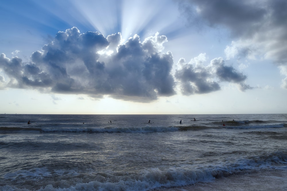 Casey Key Resorts Beachfront - photo 64