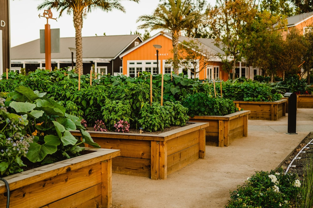 Carneros Resort and Spa - photo 80