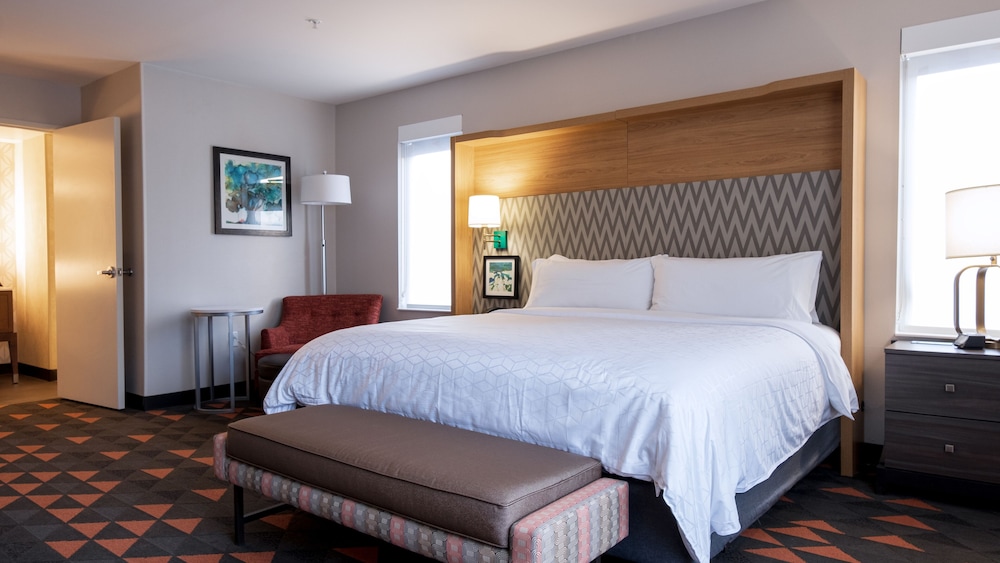 Holiday Inn and Suites Philadelphia W Drexel Hill - photo 39