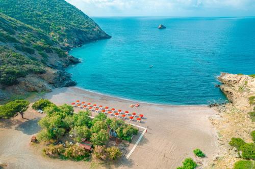 Fattoria delle Ripalte in Capoliveri, Italy