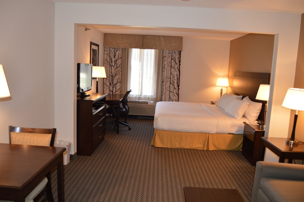 Holiday Inn Express & Suites Winner by IHG - photo 10