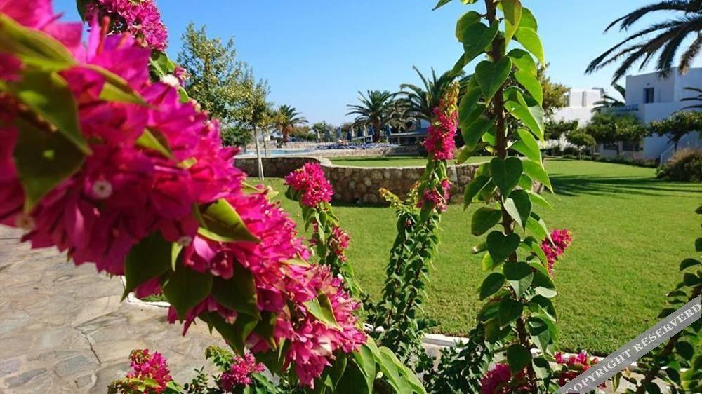 Skiros Palace Hotel — Skyros — photo 4