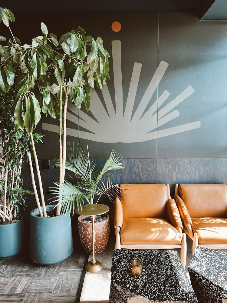 The Emily Hotel - photo 68