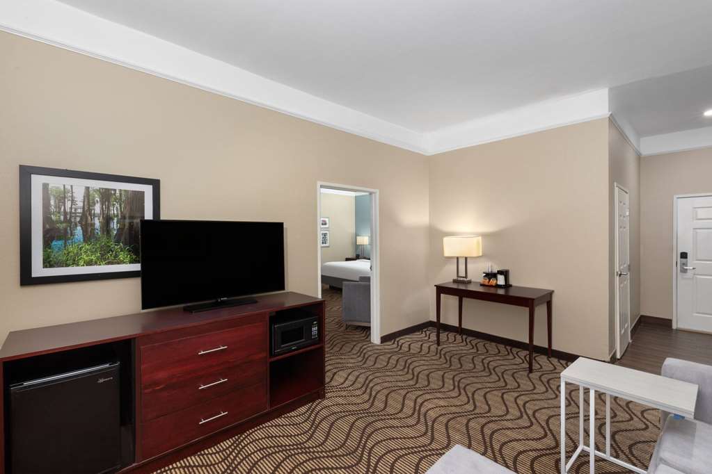 La Quinta Inn & Suites by Wyndham Houma - photo 16