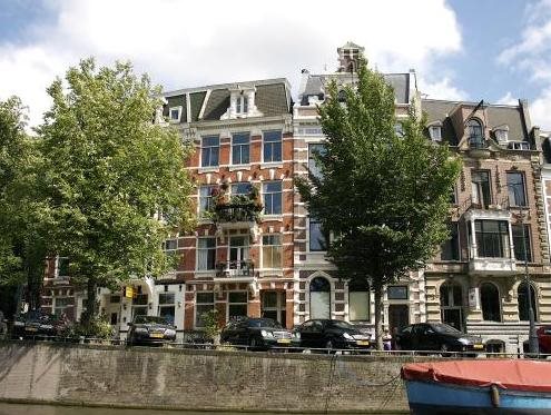 Tulipa in Amsterdam, Netherlands