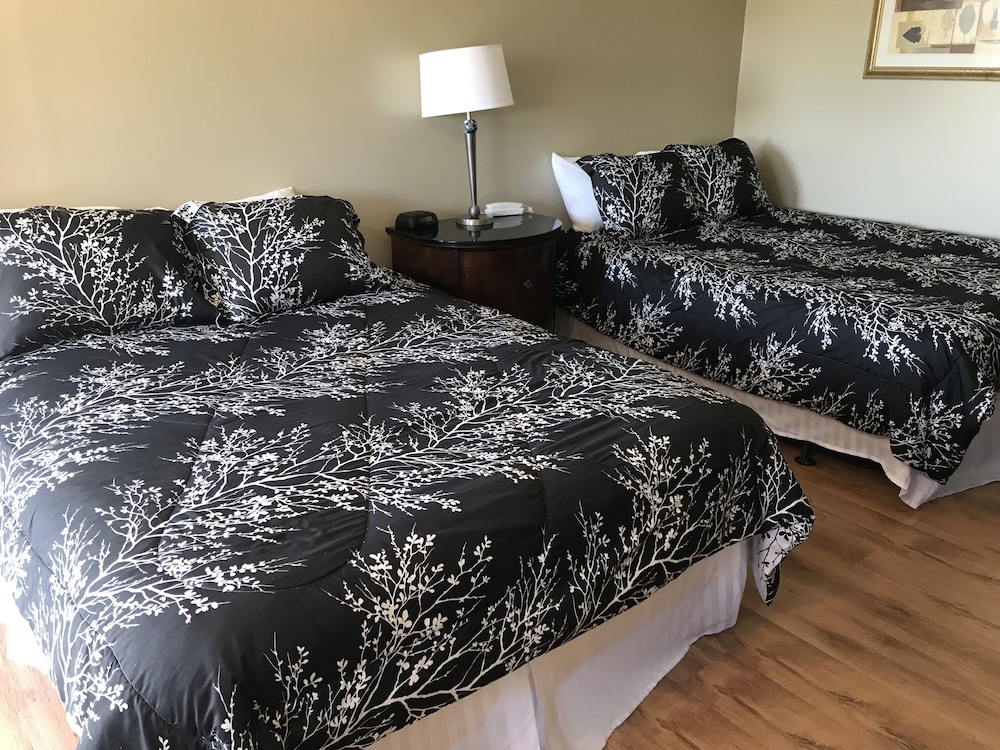 White Birches Motel - photo 12