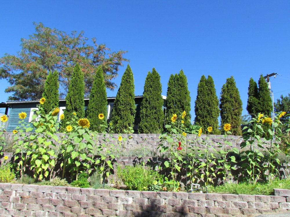 Warm Springs Inn & Winery - photo 107