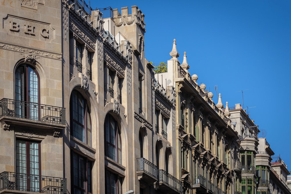 מראה חיצוני