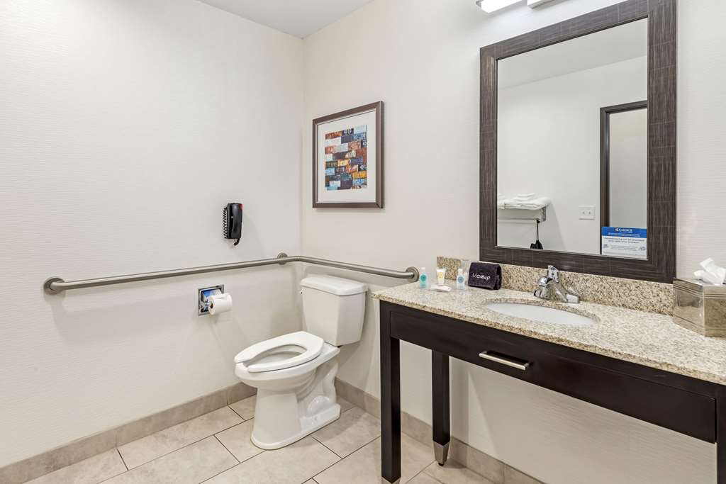 Comfort Inn & Suites Brighton Denver NE Medical Center - photo 28